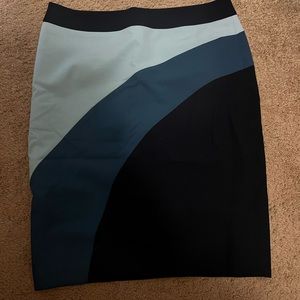 Ann Taylor Pencil Skirt